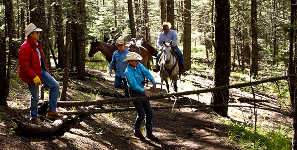cutting trees and horses help with trail clean up